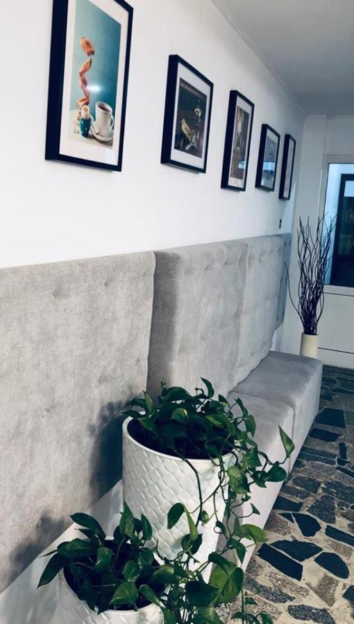 Siechnice Noclegi Dış mekan fotoğraf